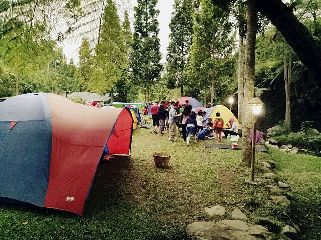 Economic Benefits of Camping